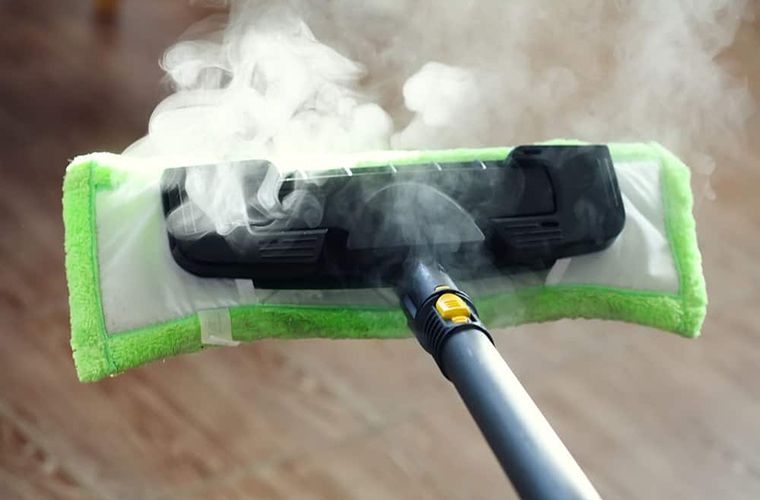 steam cleaner
