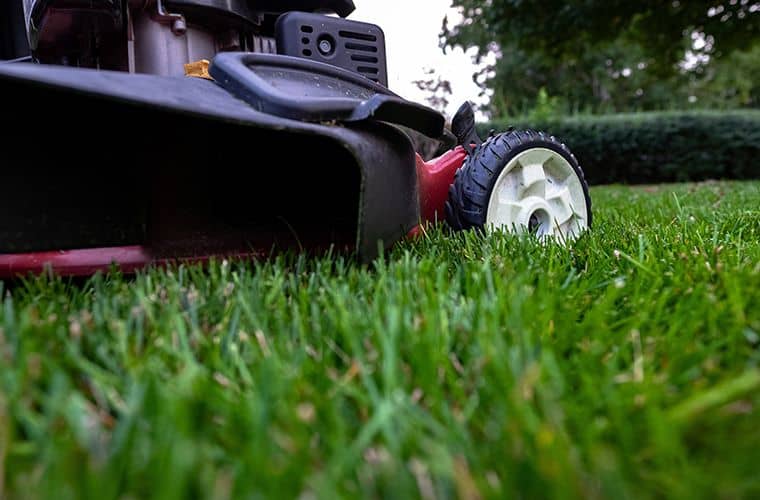 fresh-cut-grass-and-mower