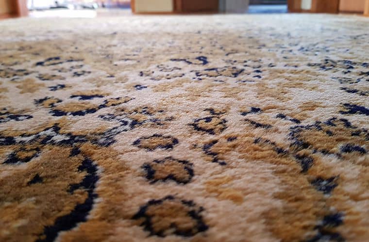 rug close-up