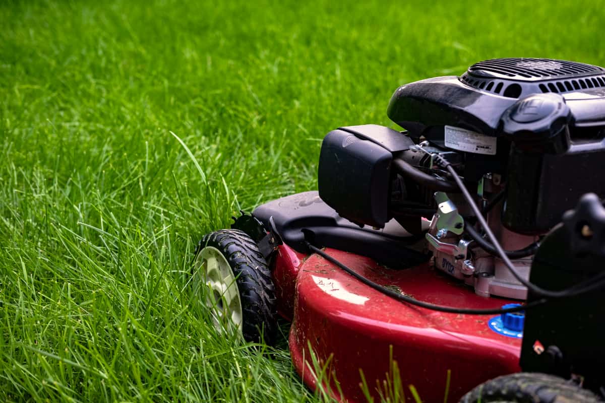 side view of a lawn mower
