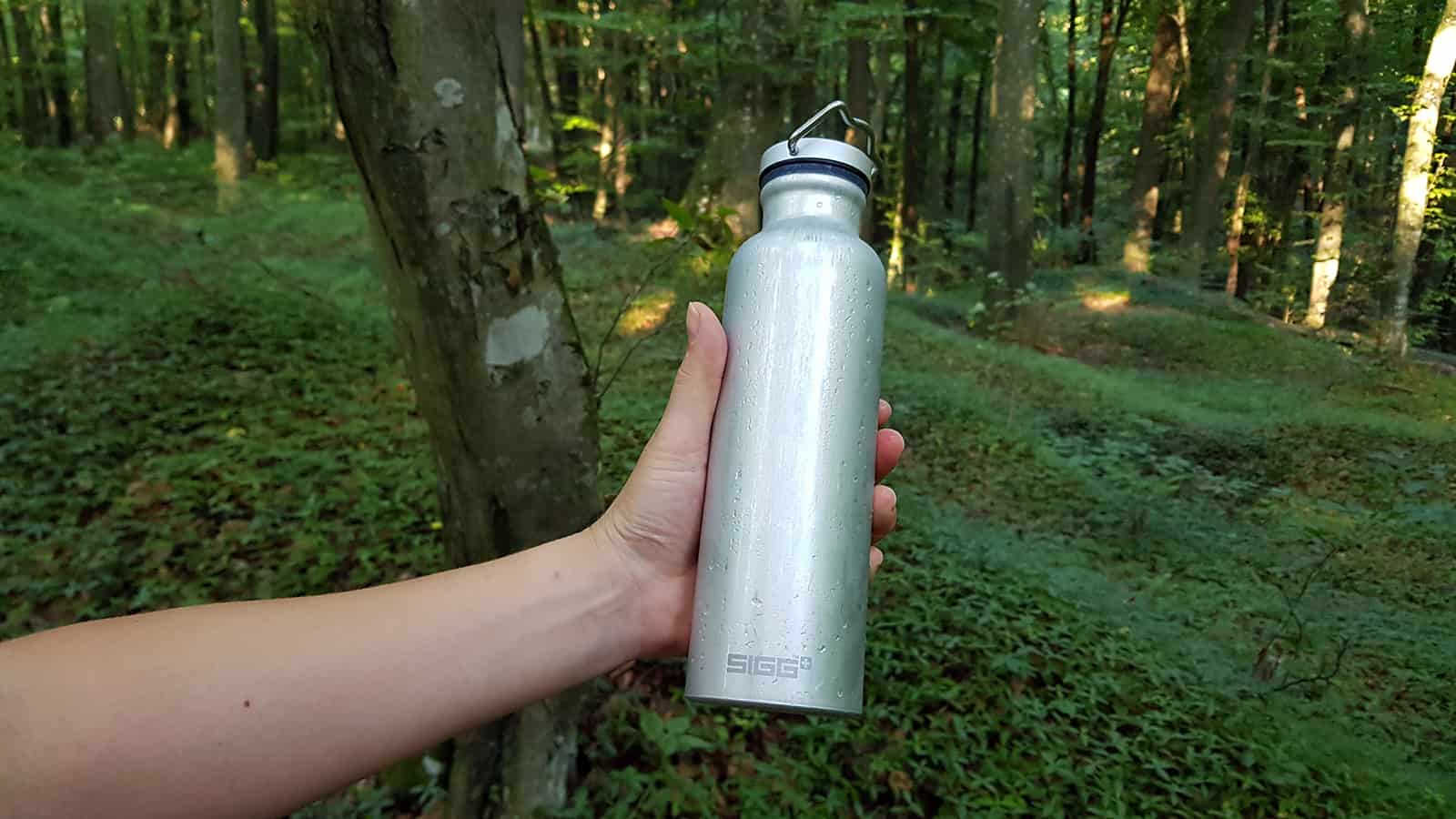 SIGG Original Alu Bottle - in woods