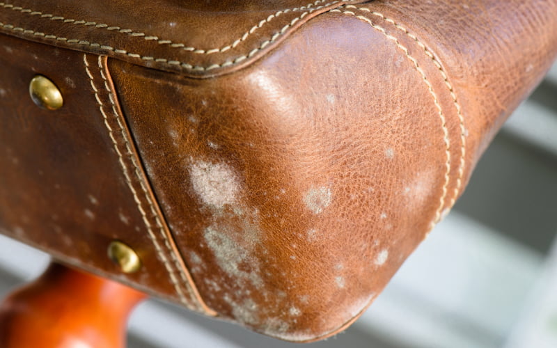 mold on old brown leather bag, fungus on leather bag