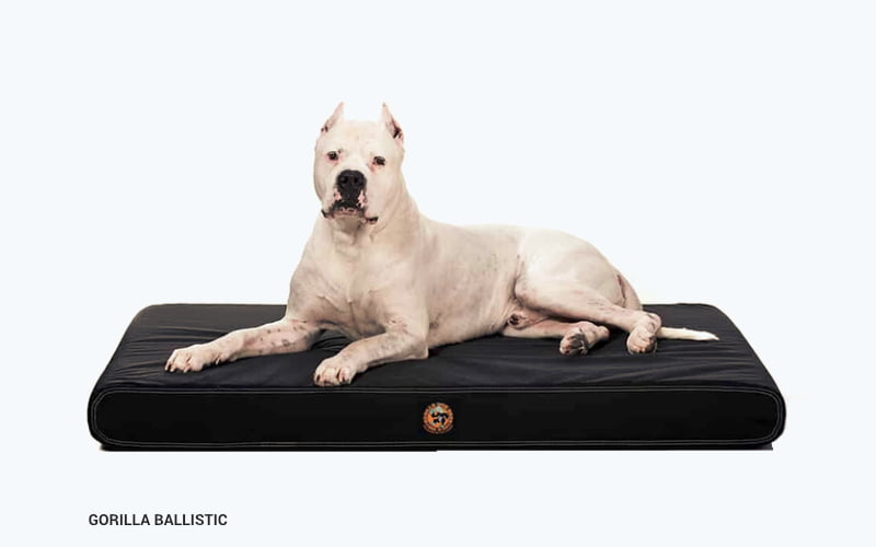 Gorilla Ballistic Orthopedic Dog Bed - product image