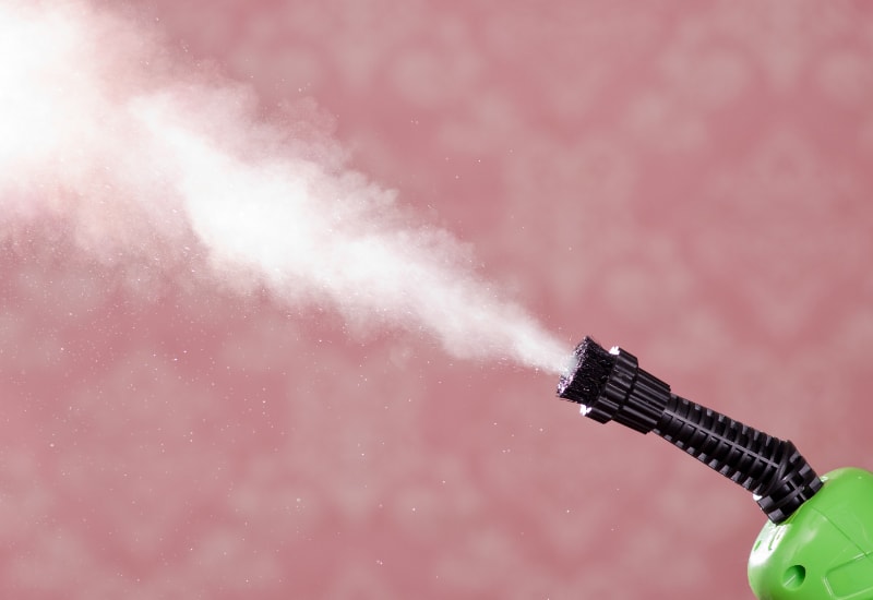 steam cleaner