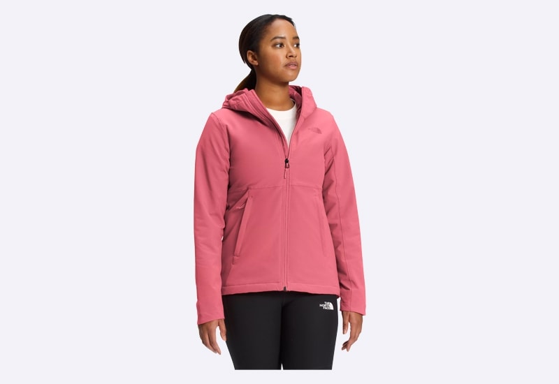 TNF Womens Shelbe Raschel Hoodie