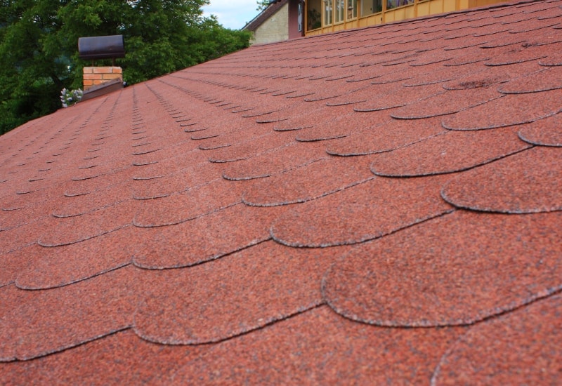 red asphalt shingles