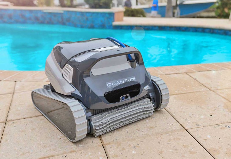 Dolphin Quantum