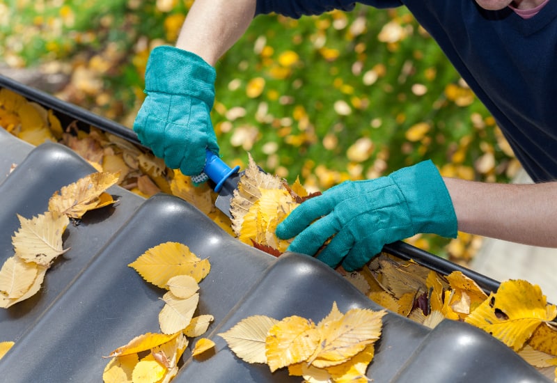 cleaning gutters from leaves