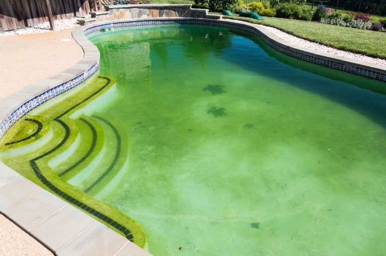 Filthy backyard swimming pool and patio