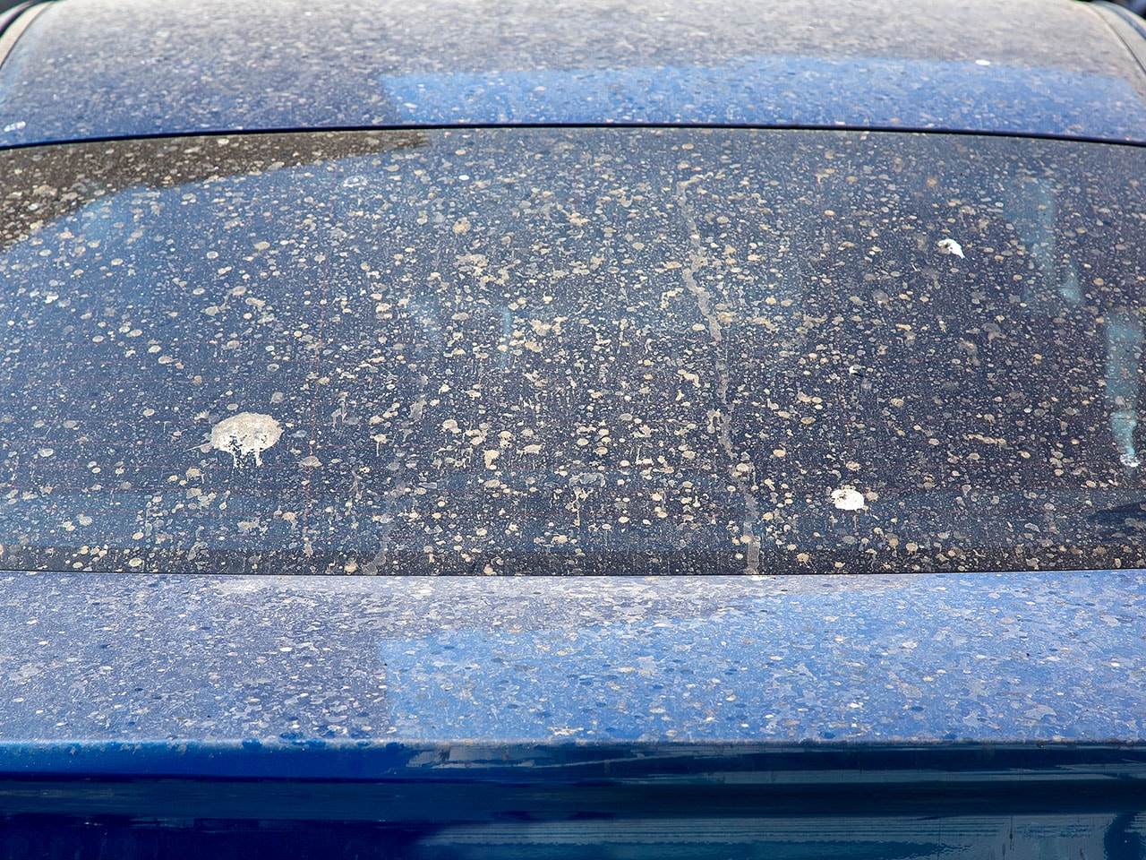 Water spots and dust on car