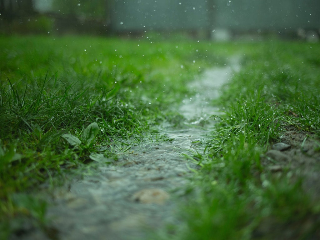 Lawn during heavy rain