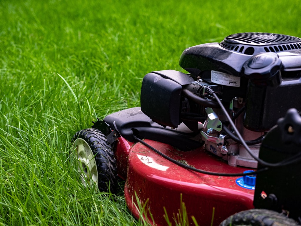 Can You Mow Wet Grass Without Damaging Your Lawnmower? Durability Matters