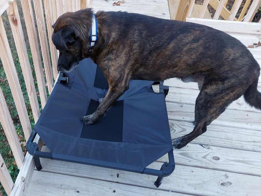 Lucky Dog Elevated Pet Bed 44