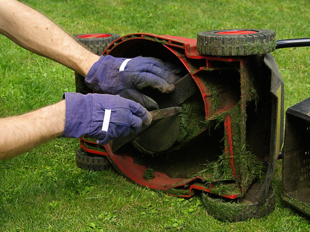 Can You Mow Wet Grass Without Damaging Your Lawnmower? Durability Matters