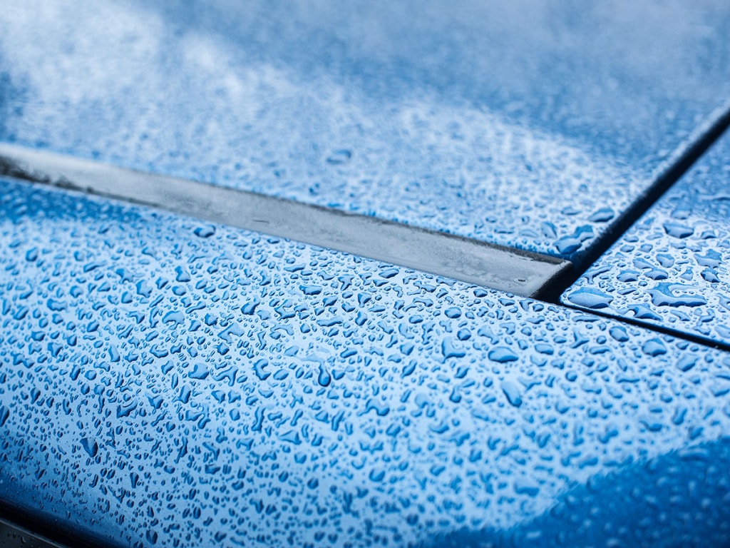 Water droplets on hood of car
